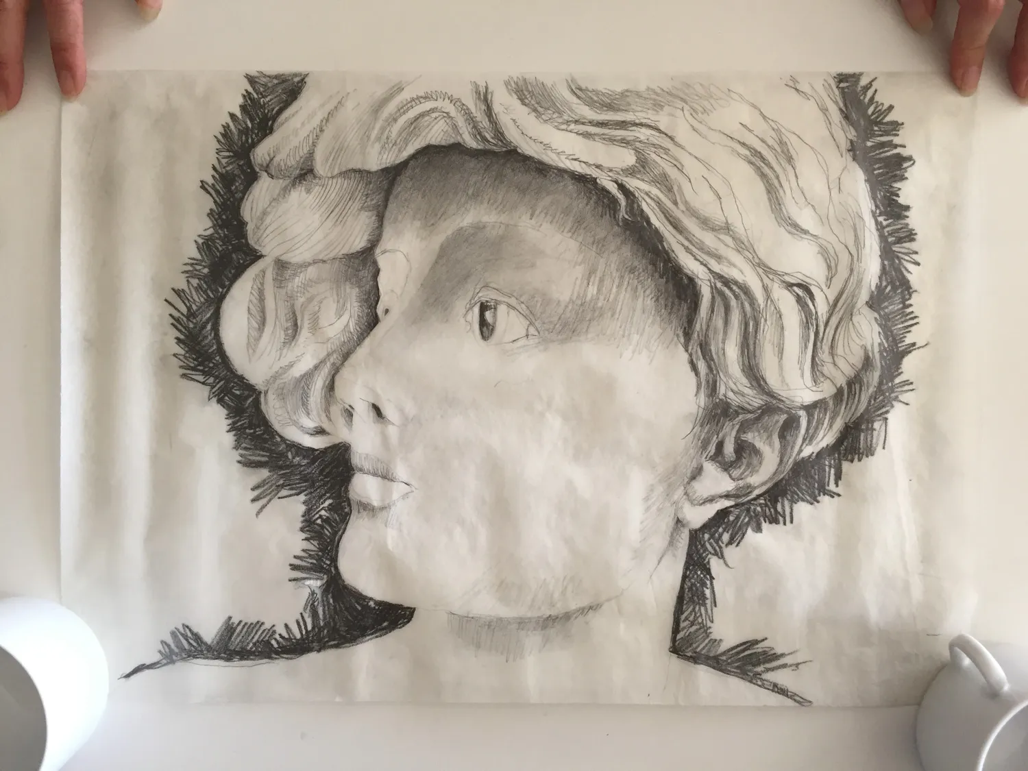 Little Rosa Preliminary study