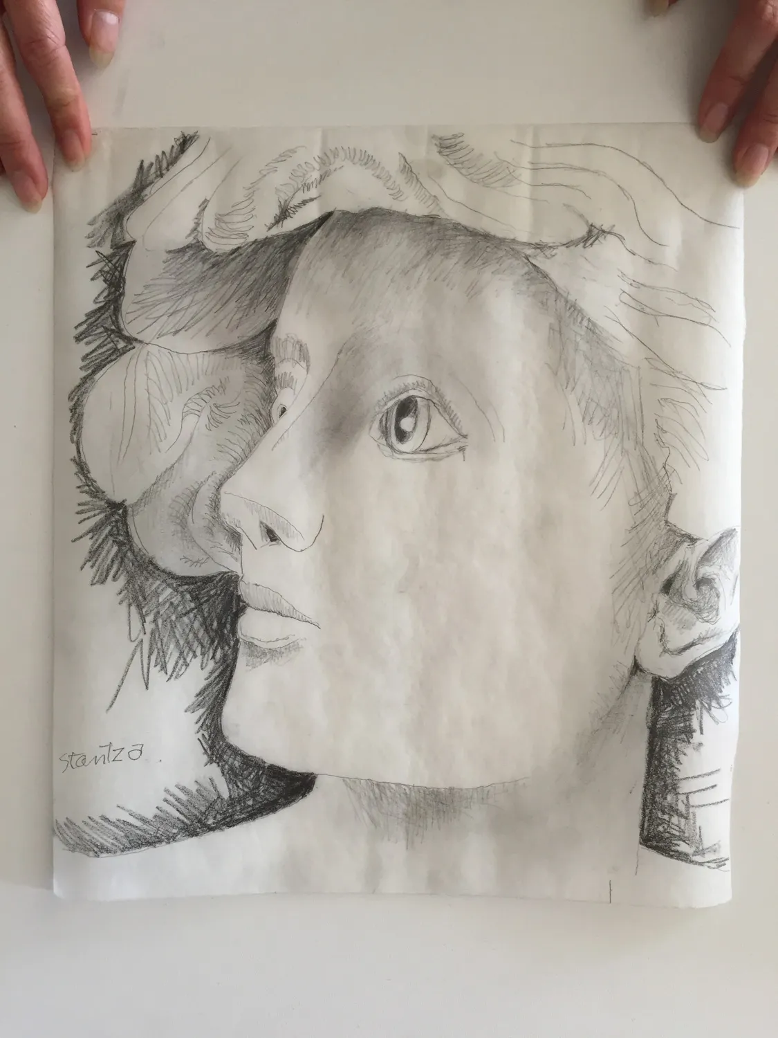 Little Rosa Preliminary study